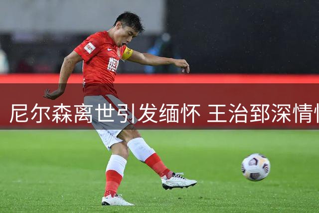 尼尔森离世引发缅怀 王治郅深情悼念获赞无数
